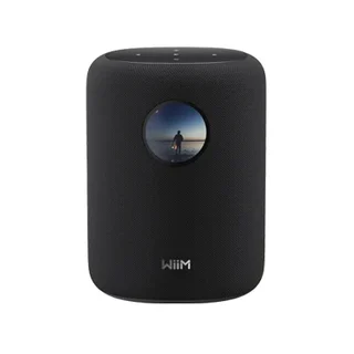 WiiM Sound schwarz (LPWISND)